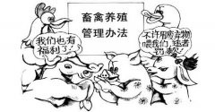 如何更好的管理食品安全？