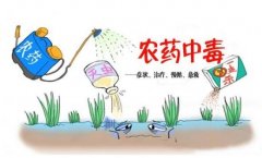 農(nóng)藥殘留速測儀助力“有機農(nóng)業(yè)”發(fā)展！