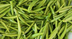 茶葉農殘檢測與果蔬農殘檢測有何區(qū)別？